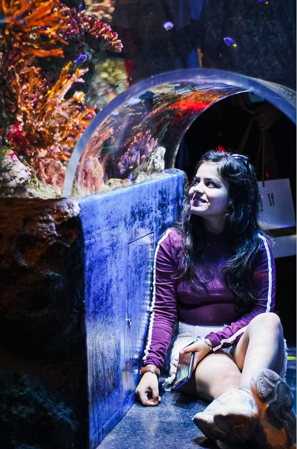 Prashi Jain Portfolio