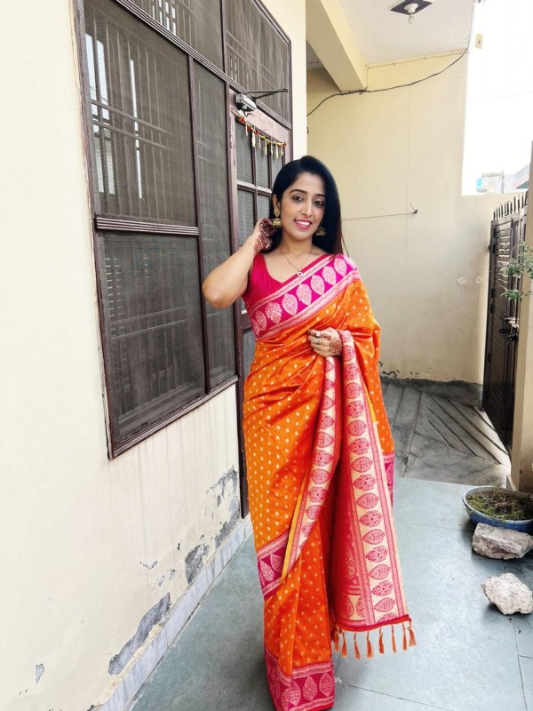 Renu Nandal Portfolio